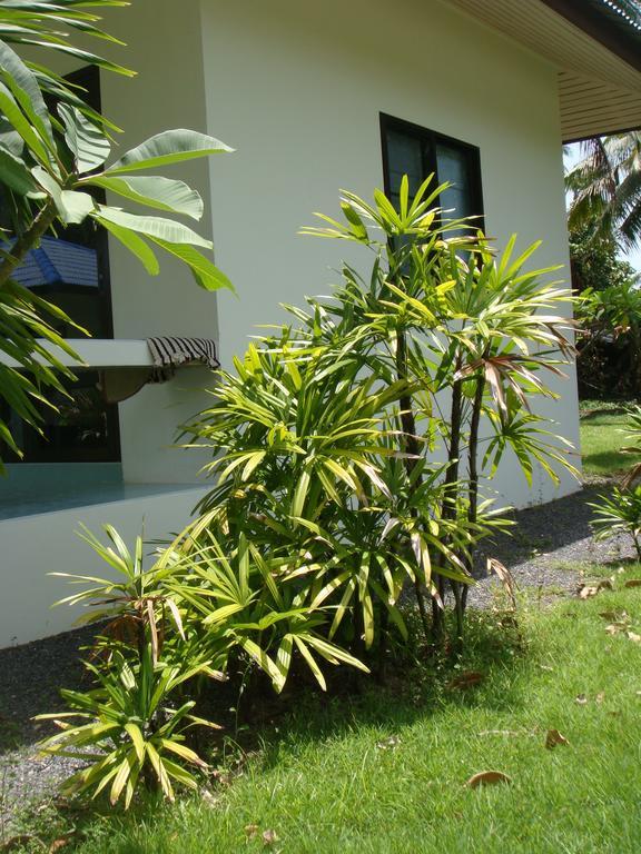 מאה נאם ביץ' Baan Kuasakul Resort מראה חיצוני תמונה
